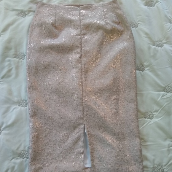 NEW Alexander Michael Snyder Pencil Skirt Size 4 - Picture 3 of 6